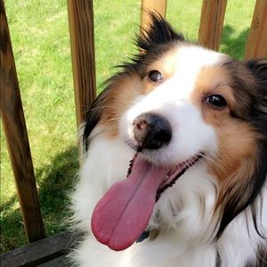 Meet your Posher, Jay